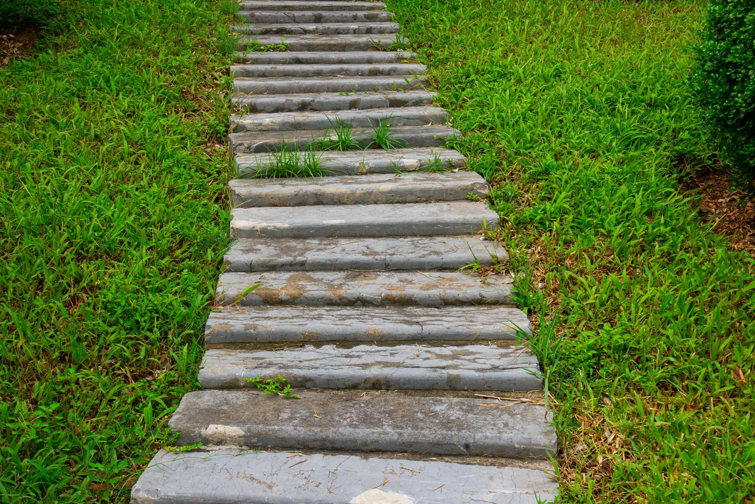 Stone steps running up through a green lawn