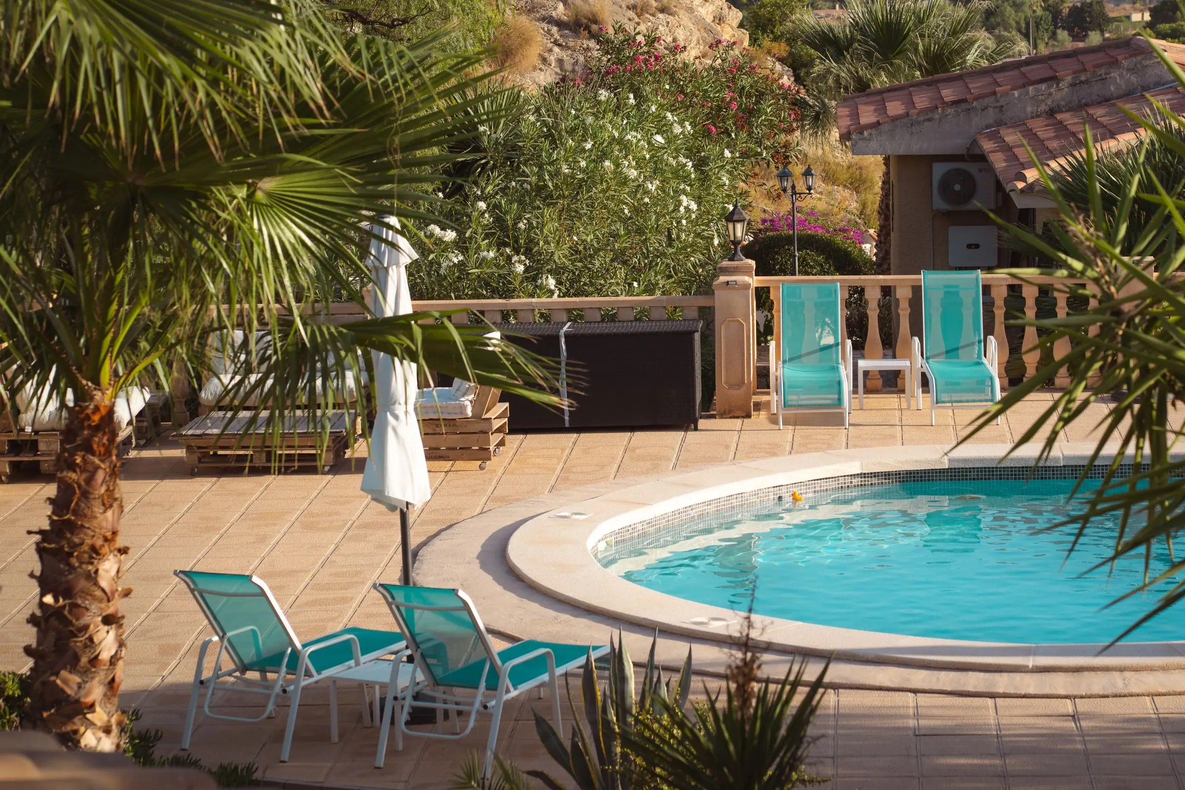 Round pool with a paver deck, palm trees and lounge chairs