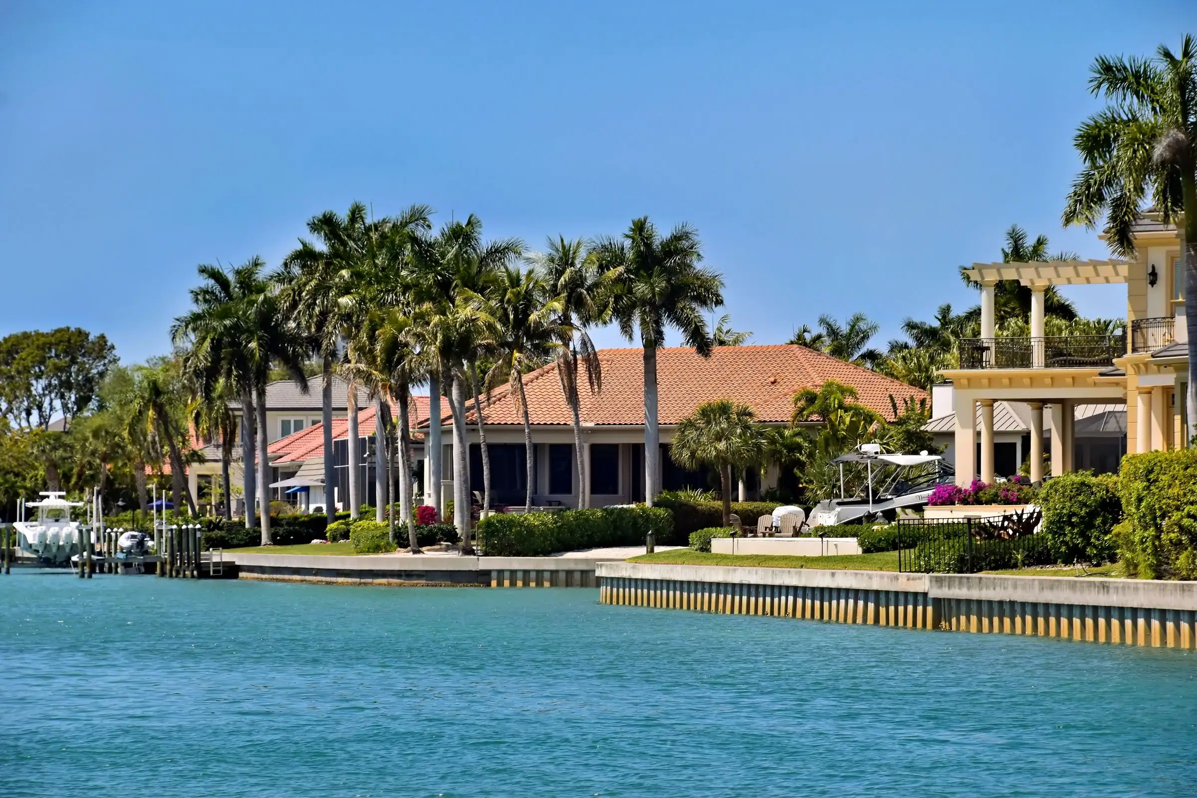 Waterfront homes with palm trees along a seawall
